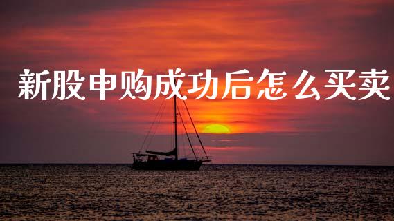 新股申购成功后怎么买卖_https://www.kuaijiepai.net_国际股建_第1张