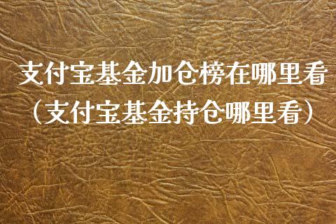 支付宝基金加仓榜在哪里看（支付宝基金持仓哪里看）_https://www.kuaijiepai.net_投资理财_第1张