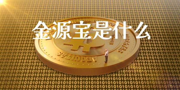 金源宝是什么_https://www.kuaijiepai.net_期货在线_第1张