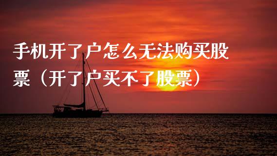 手机开了户怎么无法购买股票（开了户买不了股票）_https://www.kuaijiepai.net_新股新闻_第1张