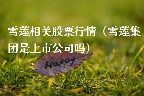 雪莲相关股票行情（雪莲集团是上市公司吗）_https://www.kuaijiepai.net_股票理论_第1张