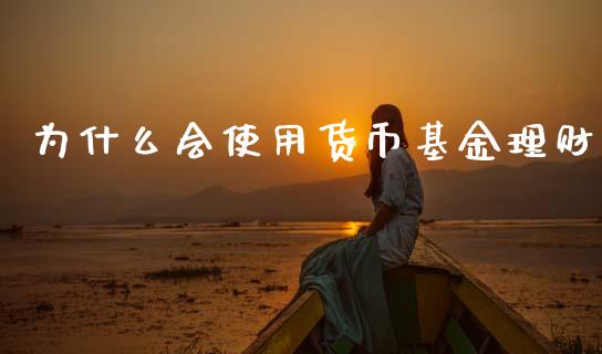 为什么会使用货币基金理财_https://www.kuaijiepai.net_投资理财_第1张