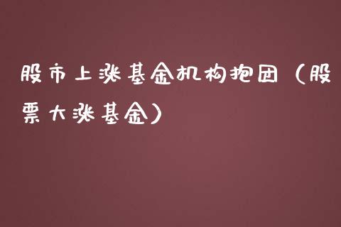 股市上涨基金机构抱团（股票大涨基金）_https://www.kuaijiepai.net_期货理财_第1张
