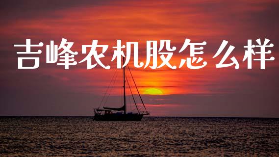 吉峰农机股怎么样_https://www.kuaijiepai.net_期货理财_第1张