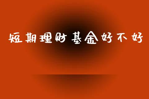 短期理财基金好不好_https://www.kuaijiepai.net_投资理财_第1张