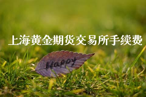 上海黄金期货交易所手续费_https://www.kuaijiepai.net_期货资讯_第1张