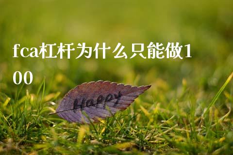 fca杠杆为什么只能做100_https://www.kuaijiepai.net_股票理论_第1张