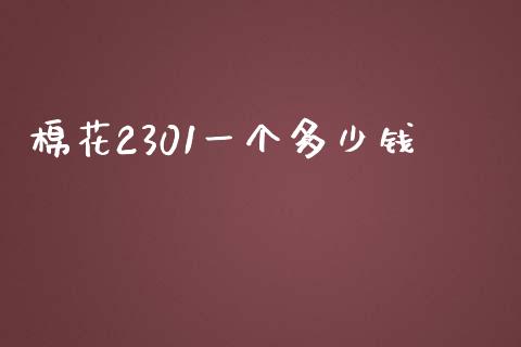 棉花2301一个多少钱_https://www.kuaijiepai.net_期货资讯_第1张