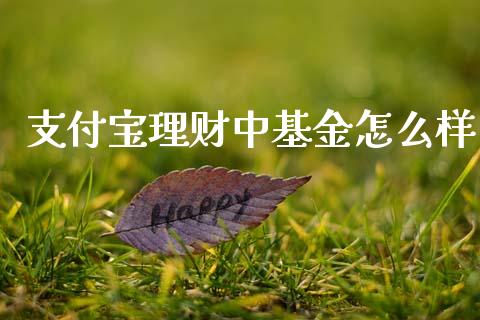 支付宝理财中基金怎么样_https://www.kuaijiepai.net_投资理财_第1张