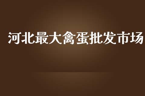 河北最大禽蛋批发市场_https://www.kuaijiepai.net_期货资讯_第1张