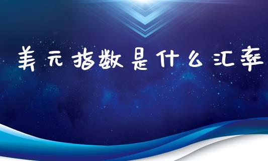 美元指数是什么汇率_https://www.kuaijiepai.net_新股新闻_第1张