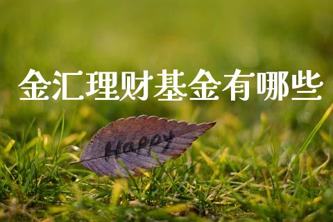 金汇理财基金有哪些_https://www.kuaijiepai.net_期货理财_第1张