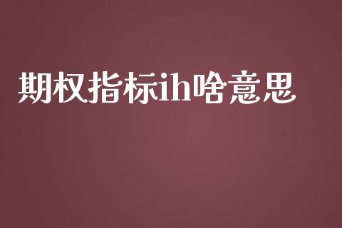 期权指标ih啥意思_https://www.kuaijiepai.net_新股新闻_第1张