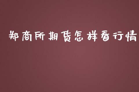 郑商所期货怎样看行情_https://www.kuaijiepai.net_期货资讯_第1张