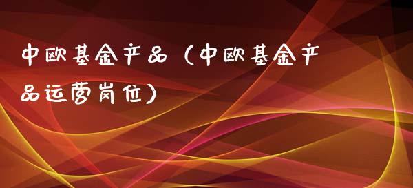 中欧基金产品（中欧基金产品运营岗位）_https://www.kuaijiepai.net_投资理财_第1张