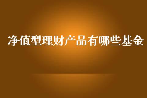 净值型理财产品有哪些基金_https://www.kuaijiepai.net_投资理财_第1张