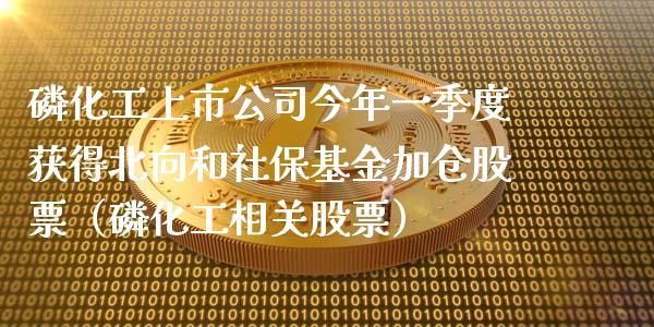磷化工上市公司今年一季度获得北向和社保基金加仓股票（磷化工相关股票）_https://www.kuaijiepai.net_投资理财_第1张