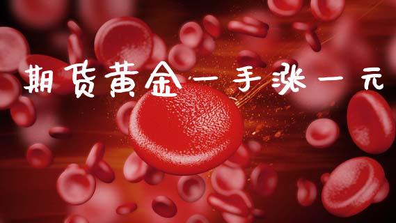 期货黄金一手涨一元_https://www.kuaijiepai.net_国际期货_第1张