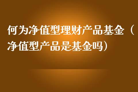 何为净值型理财产品基金（净值型产品是基金吗）_https://www.kuaijiepai.net_投资理财_第1张