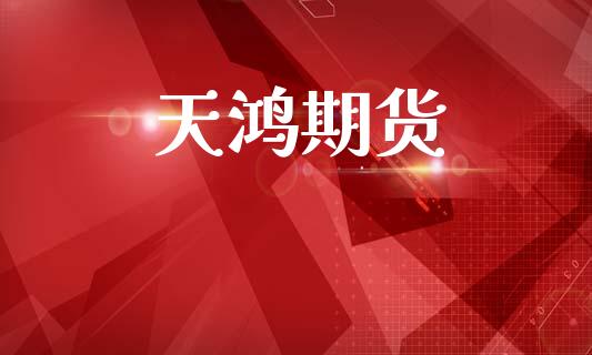 天鸿期货_https://www.kuaijiepai.net_期货理财_第1张