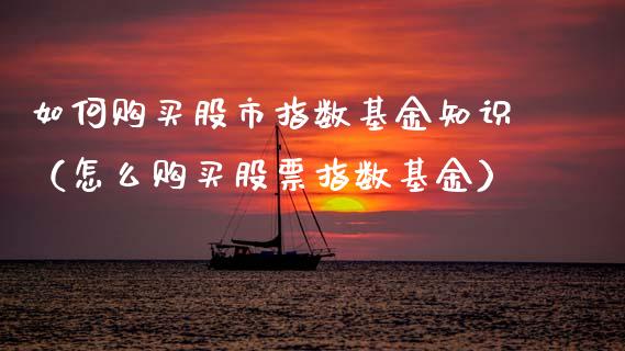 如何购买股市指数基金知识（怎么购买股票指数基金）_https://www.kuaijiepai.net_期货理财_第1张