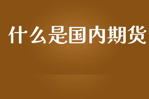 什么是国内期货_https://www.kuaijiepai.net_国际股建_第1张