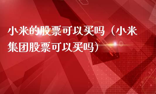 小米的股票可以买吗（小米集团股票可以买吗）_https://www.kuaijiepai.net_股票理论_第1张