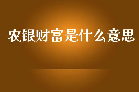 农银财富是什么意思_https://www.kuaijiepai.net_投资理财_第1张