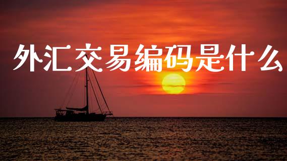 外汇交易编码是什么_https://www.kuaijiepai.net_国际股建_第1张