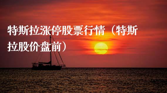 特斯拉涨停股票行情（特斯拉股价盘前）_https://www.kuaijiepai.net_国际股建_第1张