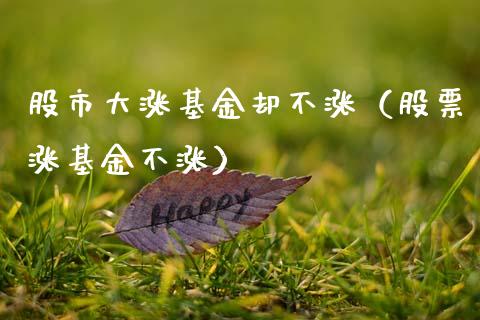 股市大涨基金却不涨（股票涨基金不涨）_https://www.kuaijiepai.net_投资理财_第1张