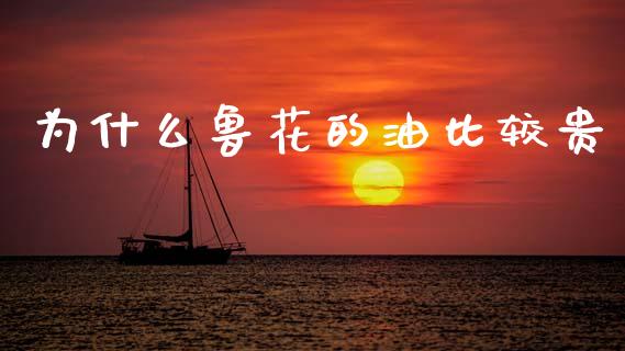 为什么鲁花的油比较贵_https://www.kuaijiepai.net_期货资讯_第1张