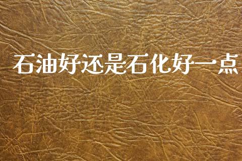 石油好还是石化好一点_https://www.kuaijiepai.net_期货在线_第1张