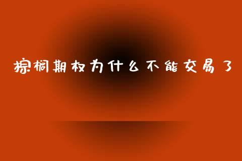 棕榈期权为什么不能交易了_https://www.kuaijiepai.net_新股新闻_第1张