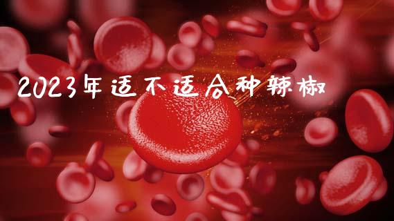 2023年适不适合种辣椒_https://www.kuaijiepai.net_期货资讯_第1张