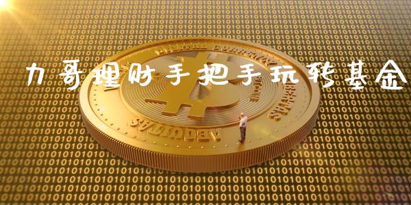 力哥理财手把手玩转基金_https://www.kuaijiepai.net_期货理财_第1张