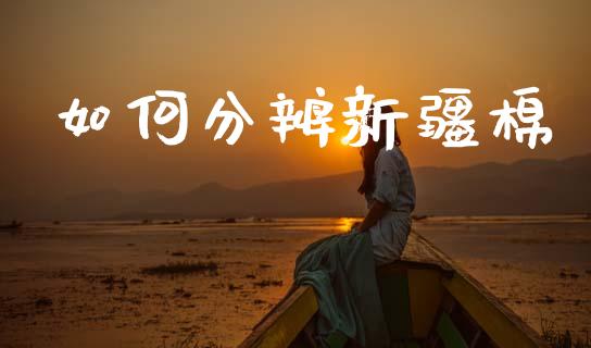 如何分辨新疆棉_https://www.kuaijiepai.net_国际期货_第1张
