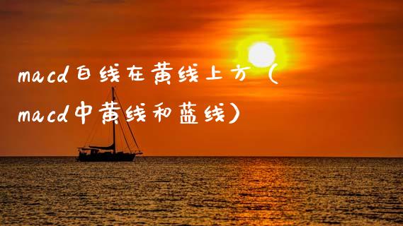 macd白线在黄线上方（macd中黄线和蓝线）_https://www.kuaijiepai.net_投资理财_第1张