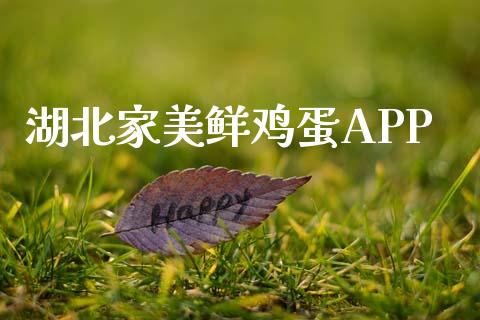 湖北家美鲜鸡蛋APP_https://www.kuaijiepai.net_期货资讯_第1张