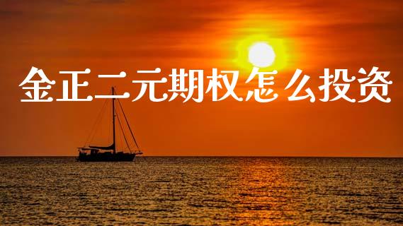 金正二元期权怎么投资_https://www.kuaijiepai.net_期货资讯_第1张