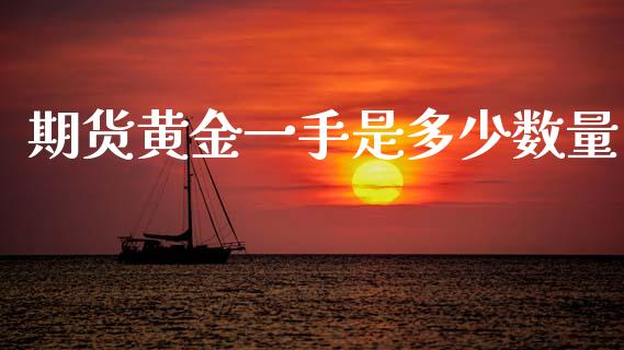 期货黄金一手是多少数量_https://www.kuaijiepai.net_期货资讯_第1张