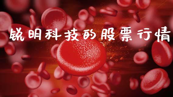 锐明科技的股票行情_https://www.kuaijiepai.net_国际股建_第1张