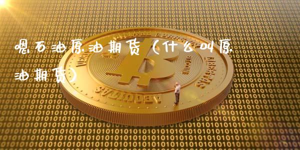 嗯石油原油期货（什么叫原油期货）_https://www.kuaijiepai.net_国际期货_第1张