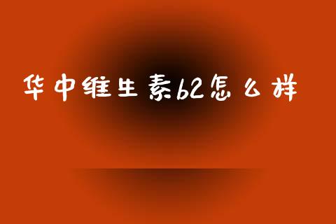 华中维生素b2怎么样_https://www.kuaijiepai.net_期货资讯_第1张