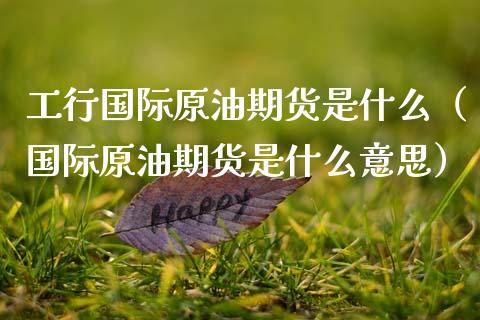 工行国际原油期货是什么（国际原油期货是什么意思）_https://www.kuaijiepai.net_国际期货_第1张
