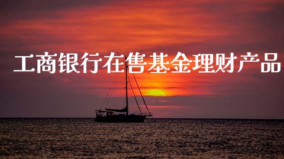工商银行在售基金理财产品_https://www.kuaijiepai.net_期货理财_第1张