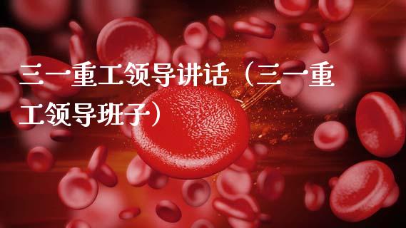 三一重工领导讲话（三一重工领导班子）_https://www.kuaijiepai.net_股票理论_第1张