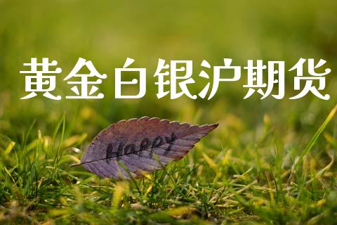 黄金白银沪期货_https://www.kuaijiepai.net_期货资讯_第1张