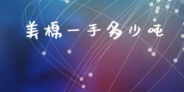 美棉一手多少吨_https://www.kuaijiepai.net_国际期货_第1张