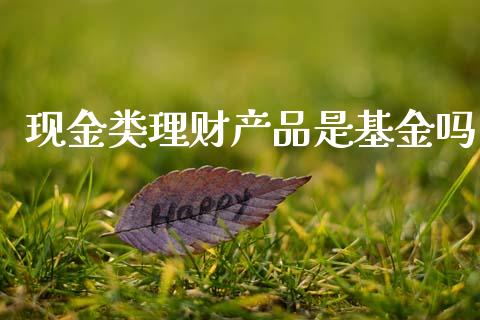 现金类理财产品是基金吗_https://www.kuaijiepai.net_投资理财_第1张